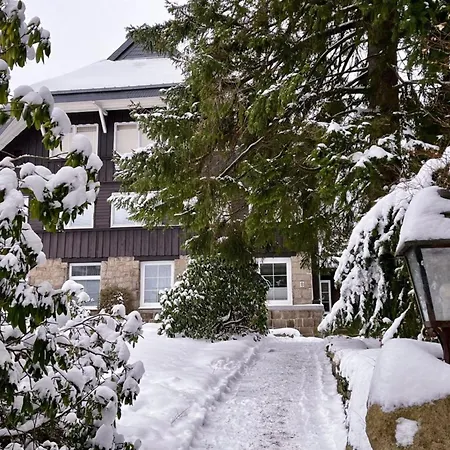 Amina - B50479 Braunlage